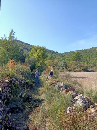 Imagen Degustación de postres y charla Comunidad Energética