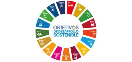 Imagen Dinámica de participación ciudadana: diagnóstico ODS municipio Secastilla