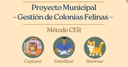 Imagen Presentación Plan Municipal de Gestión de Colonias Felinas